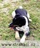 381_4_Ambrož Chneska.jpg__ 381_4_Ambrož Chneska.jpg__