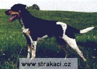 383_31_ Anička Chneska 383_31_ Anička Chneska