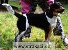 383_4_Anička Chneska 383_4_Anička Chneska