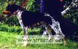 358_agocm 358_agocm