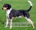 450_bertikchn 450_bertikchn