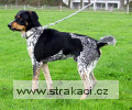 451 Bivoj1 Chneska 451 Bivoj1 Chneska