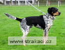 451 Bivoj4 Chneska 451 Bivoj4 Chneska