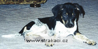 452_1_Brouček Chneska 452_1_Brouček Chneska