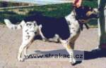 260_peggy