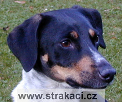 296_3_Arnyka Tabat1