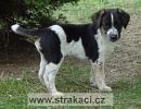 1005_cartzt.jpg"