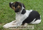 1009_cilkazt.jpg"