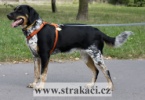 1020_baskaom.jpg