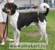 1031_arnyzl.jpg