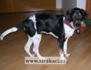 1034_arletkazl.jpg
