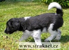 1039_barnabasz.jpg