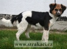 1073_faenzark.jpg