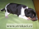 1108_rikia.jpg