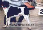 336_cetkatab.jpg