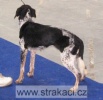 337_citadelat.jpg