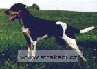 383_anickachn.jpg