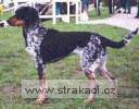 392_binaani.jpg