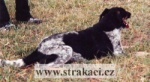 732_barykk.jpg