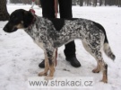 884_apolenkask.jpg