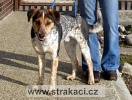 894_izakzc.jpg