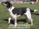 935_jenkazc.jpg