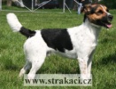 987_copakcopakasico.jpg