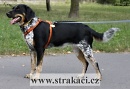 1020 Ba�ka