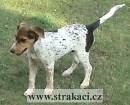 1041 Brun�k