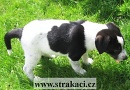 1047 Oplatek