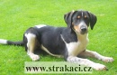 1059 A�ka