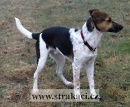 1122 Pard�l