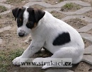 1172 Ebby