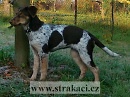 1209 Bo�enka