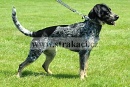 1330 Amina