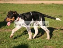 1395 Bartolom�j