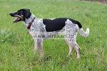 1400 B�li�ka