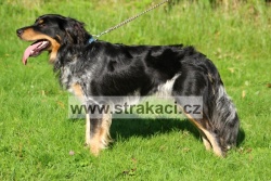 1428 Alan