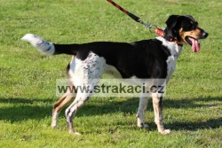 1502 Beky