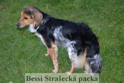 1709 Bessi