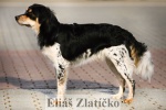 1828 Eli�