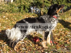 2609 Centr�la