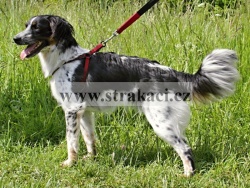 2610 Cesti�ka