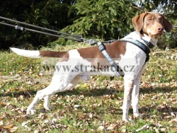 2671 Kaspi�n