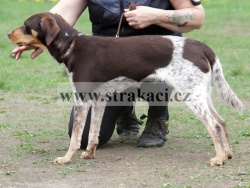 2681 Ebba