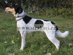 2717 Duk�t