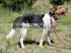 2763 �ja