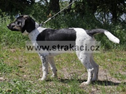 2891 Vendel�n
