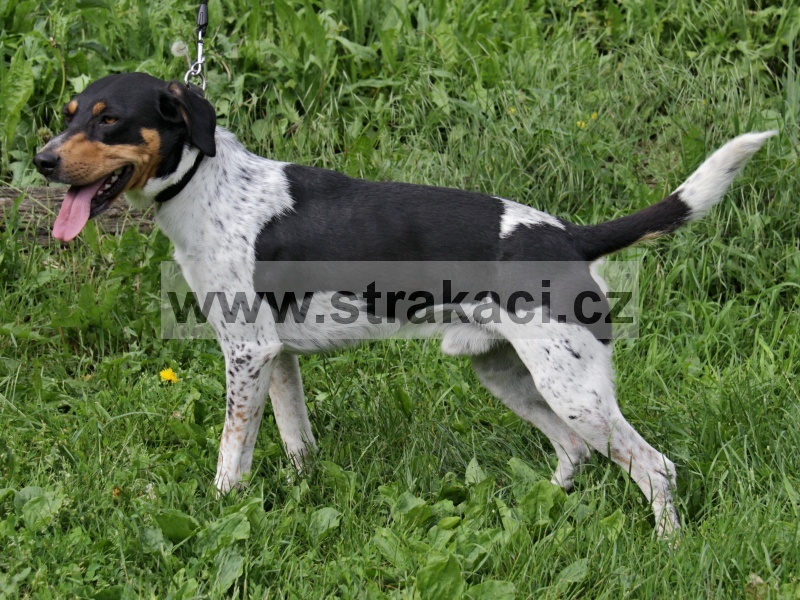2906 Edgar