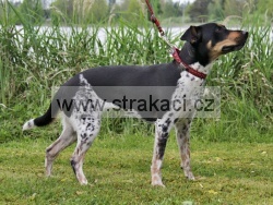 2925 Haily